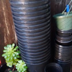 botes para plantas de 5 galones son fuertes