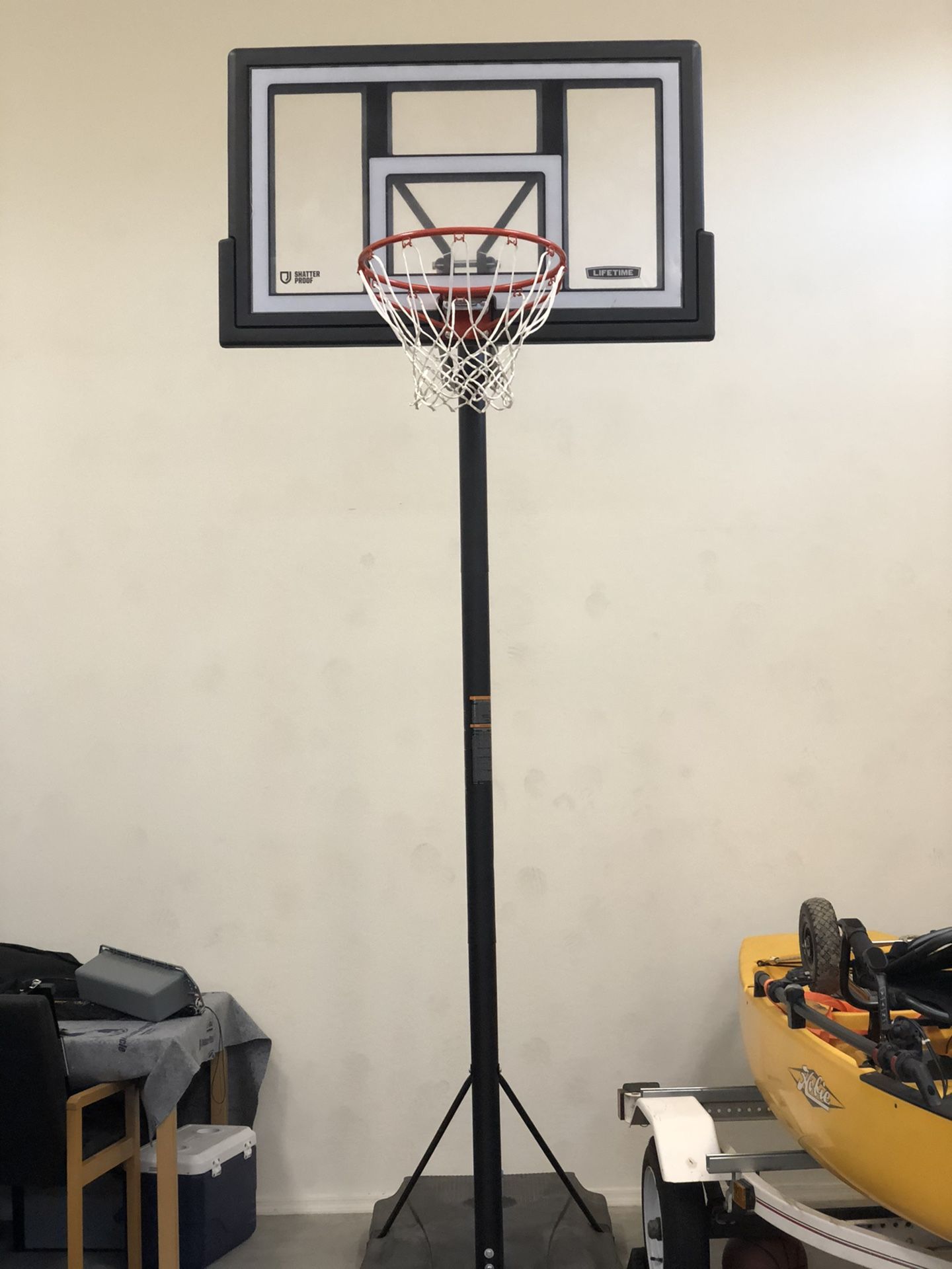 Lifetime Basketball Shatterproof Hoop