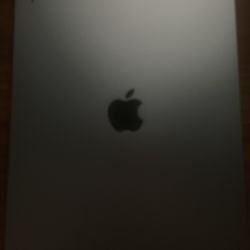 ipad a16 256gb silver wifi only 