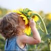 Natalia  Everett🌼