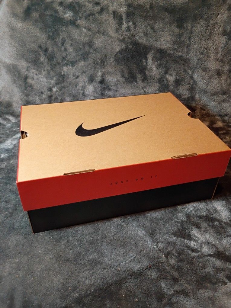 Air Jordans 12 Retro