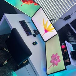 Selling Whole Setup For Good Deal( Everything Is Top Tier), Negotiate Able 