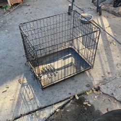 Kennel