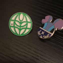 Pins I Traded At Disney Land 