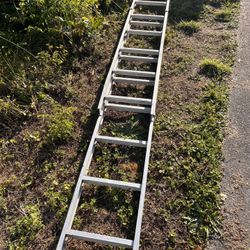 Ladder