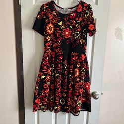 Woman’s Plus Size Dress