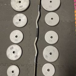 Weight Plates / Curl Bar          90 Dollars 