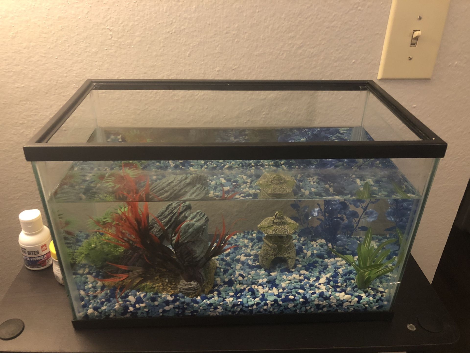 Small Fish Tank