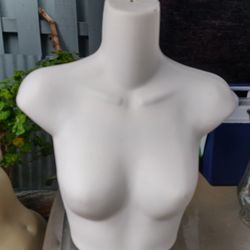 Maniquis
