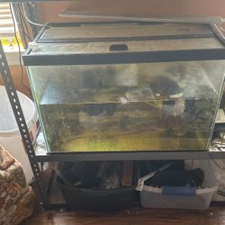 20 Gallon Tank 