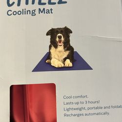 Dog Cooling Mat (Never Used) 