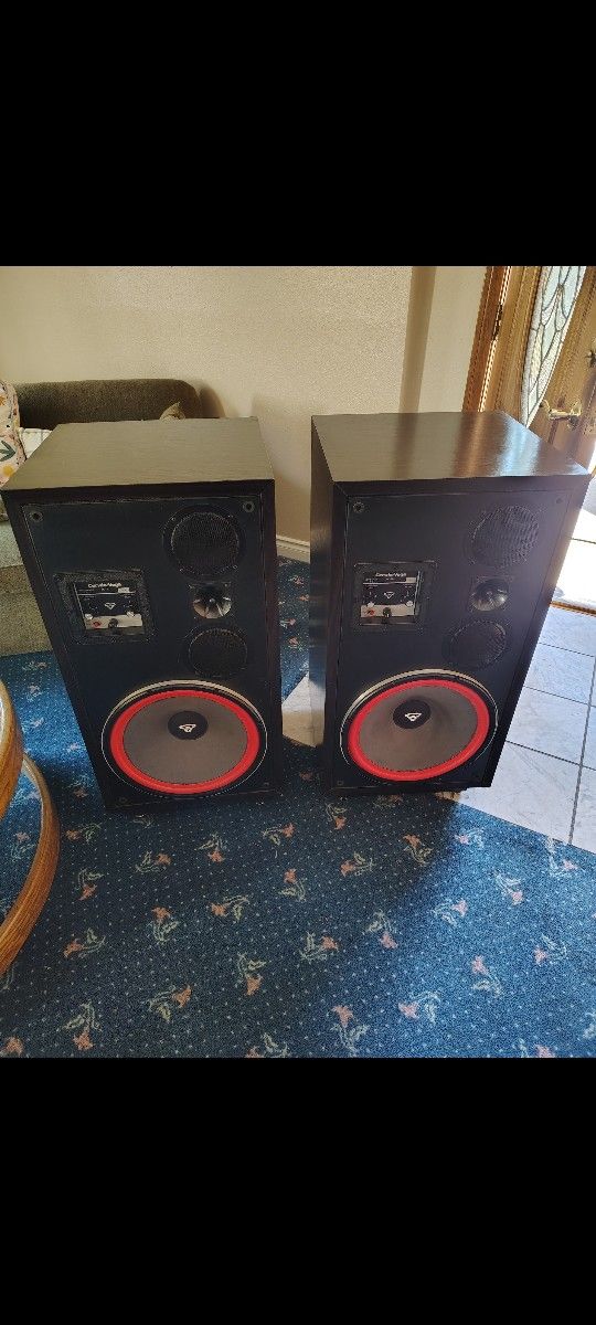 Cerwin Vega's D9's Vintage Speakers