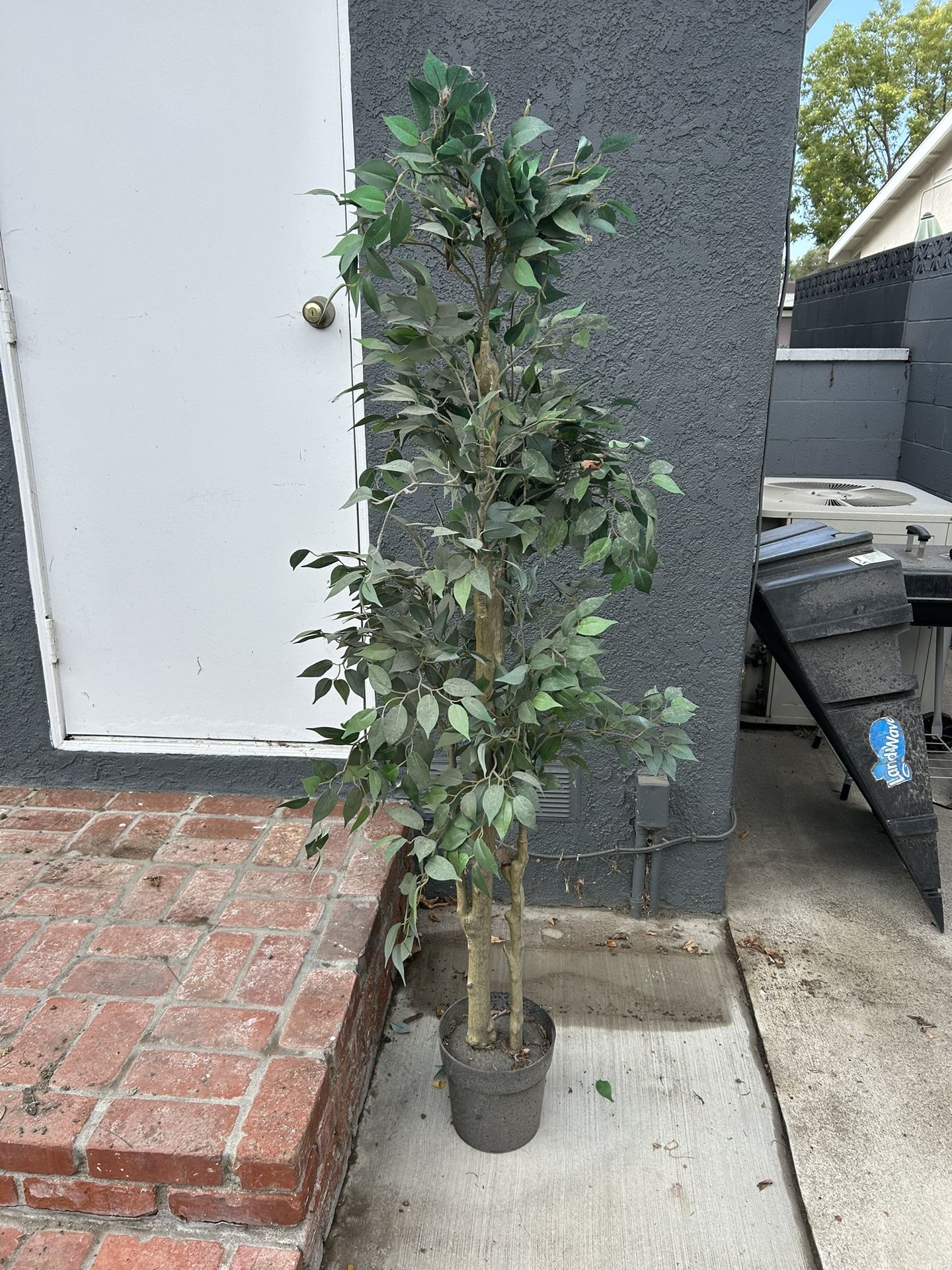 FREE Fake Plant