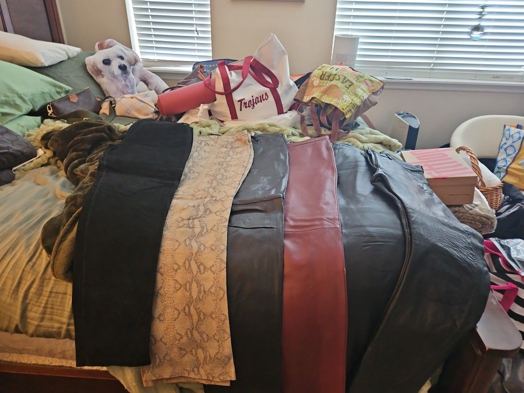 7 Pairs Of Leather Pants