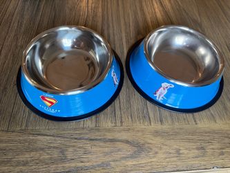 Superman DC Stainless Steel Pet Bowls Set of 2