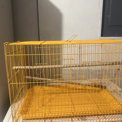 New Bird Cage