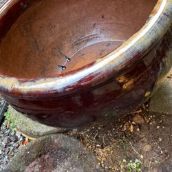 Large decorative flower pot, one year old