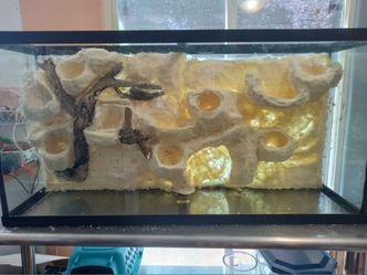 Custom made bioactive enclosure