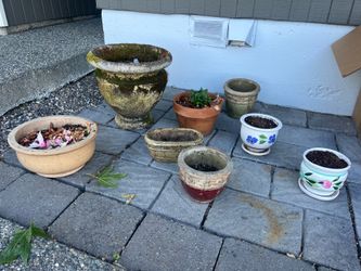 FREE plant pots