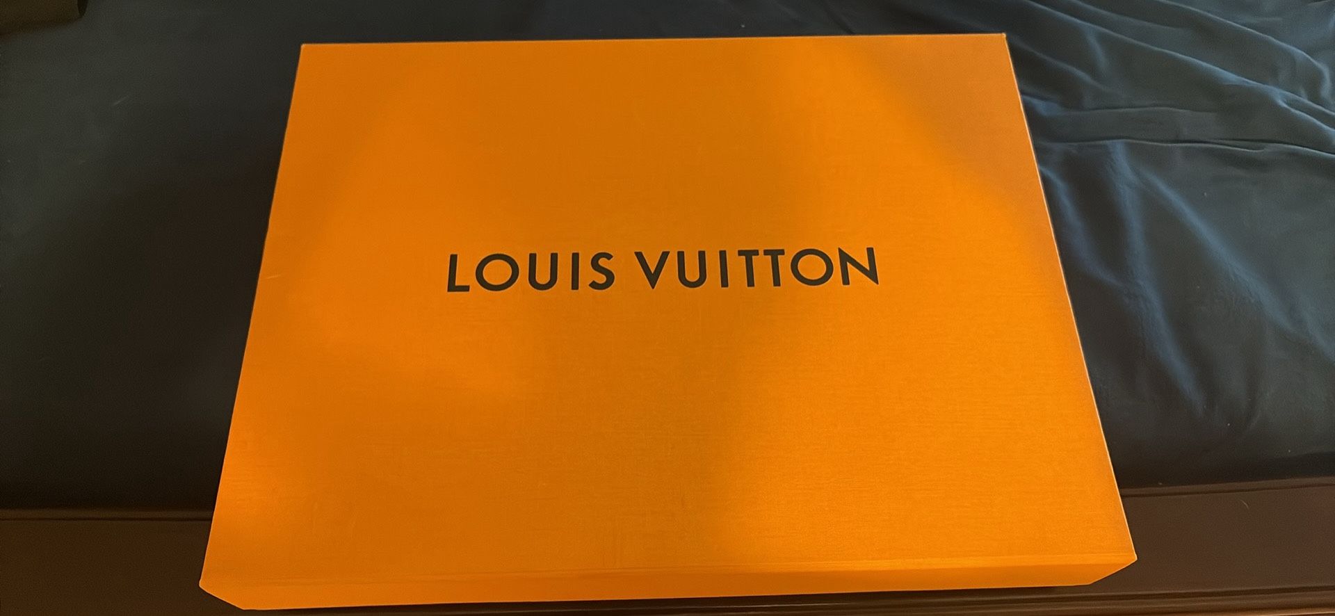 Louis Vuitton Lena tote damper
