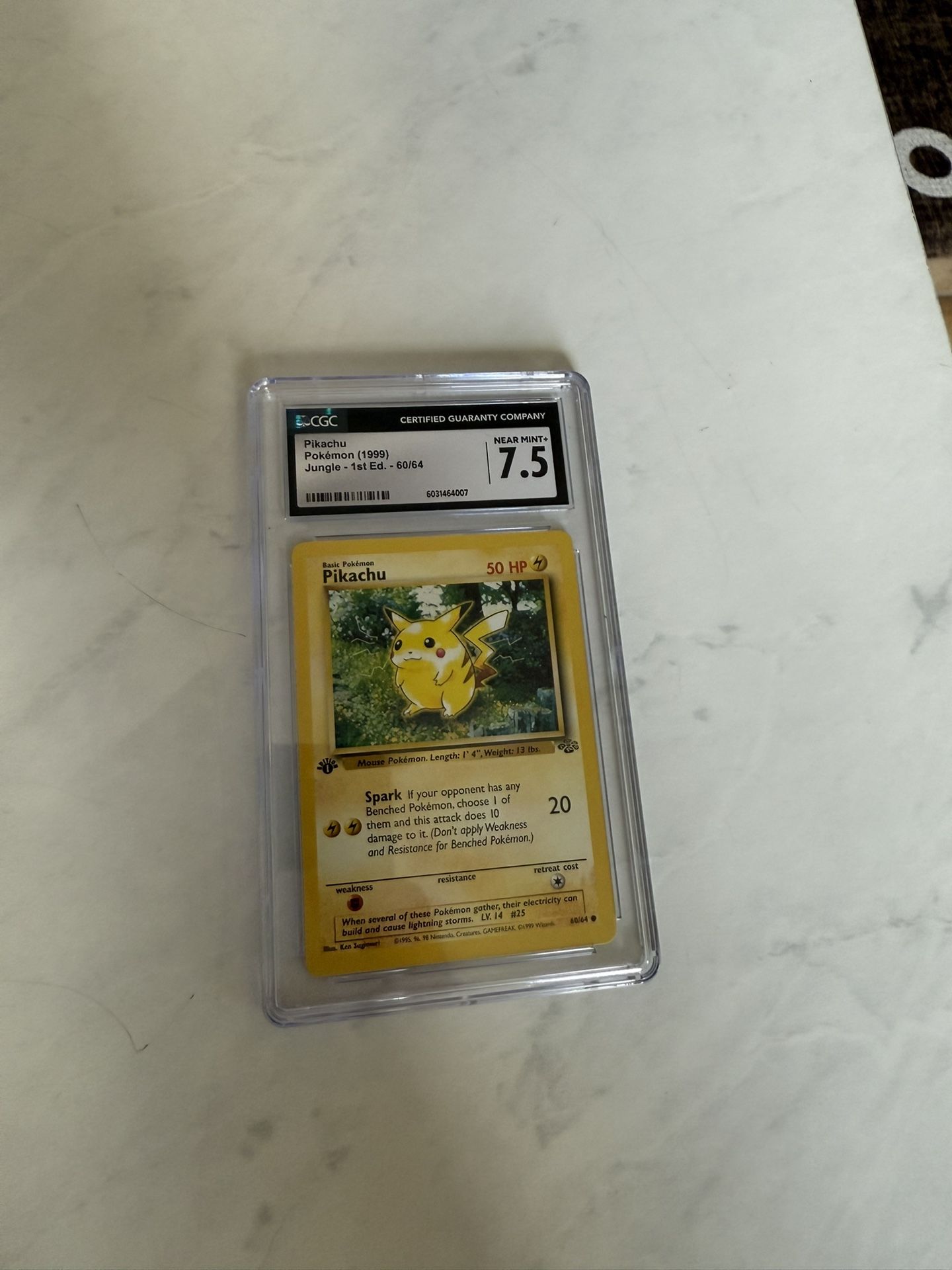 Pokemon Card