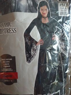 Gothic Temptress Costume