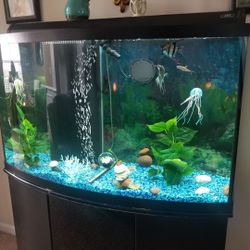 Aquarium  