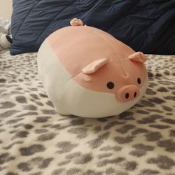Pig Plushie 