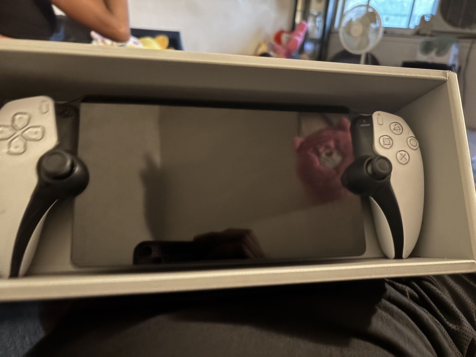 playstation portal