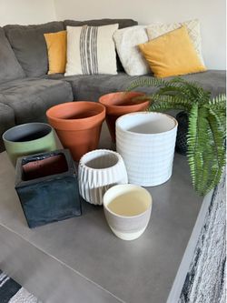 Planter Collection - 8 Total