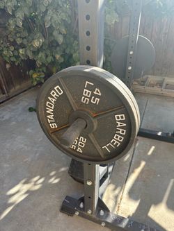 Olympic Weights (iron)