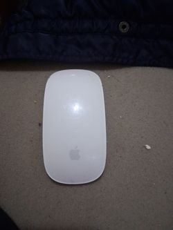 Apple mouse