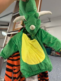 Dino costume
