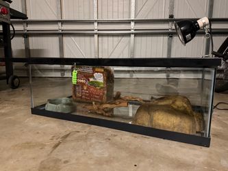 Glass Reptile Tank with Accessories