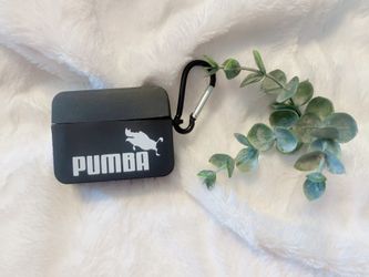 Aipods PRO Case