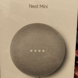 Nest mini