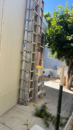 Werner ladders