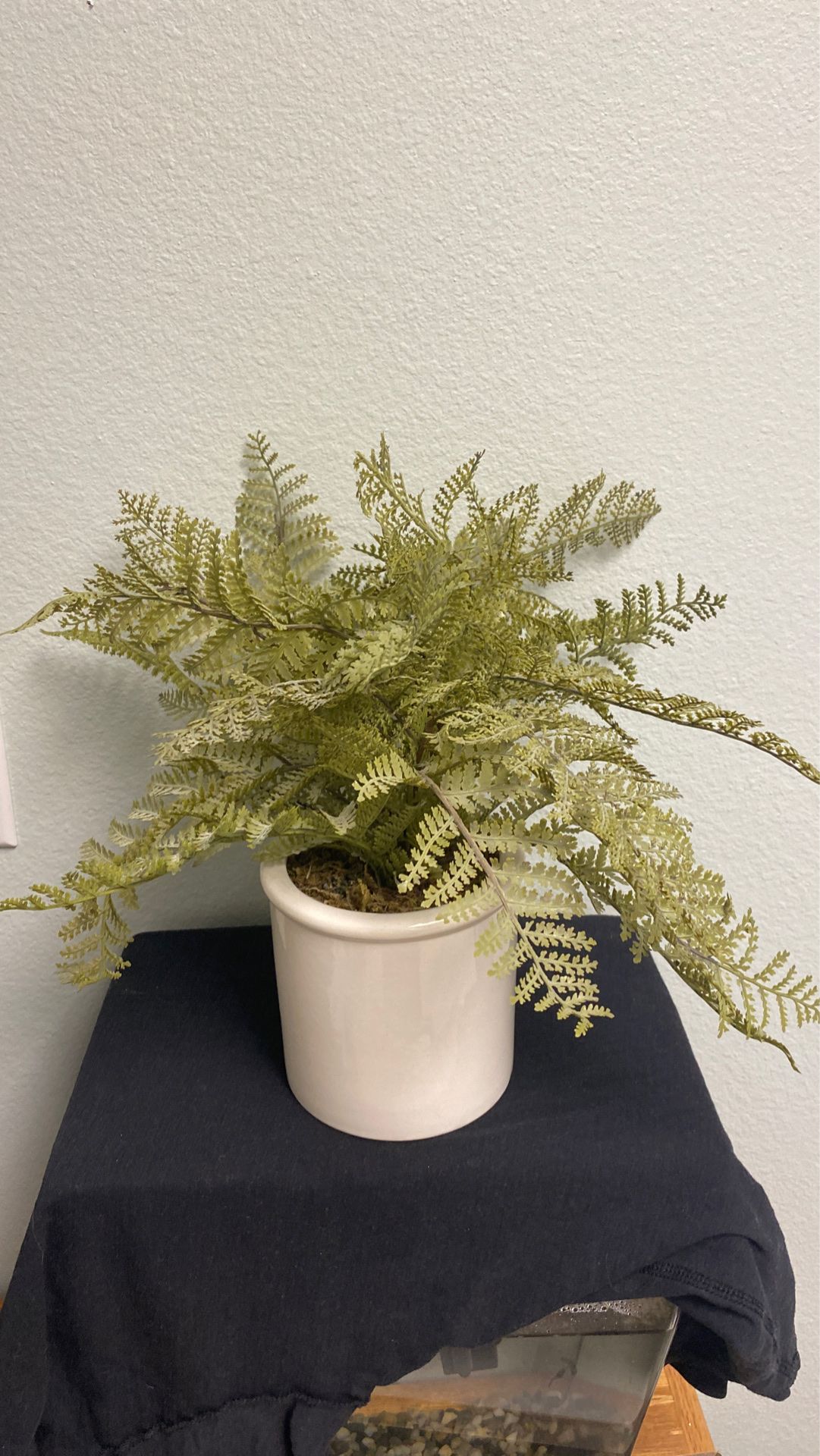 High Quality Fake Plant / Fern with Pot