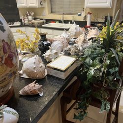 Shells-Rocks-Jade-Tea Sets- Various Items 