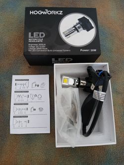 HOGWORKZ  L.E.D. Conversion Bulb