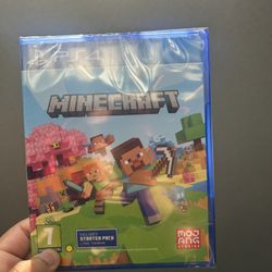 Minecfraft PS4 