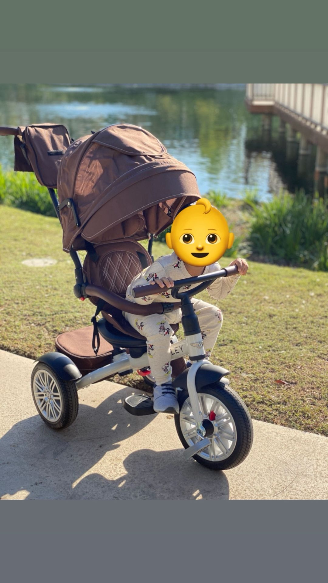 Bentley Tricycle / Stroller