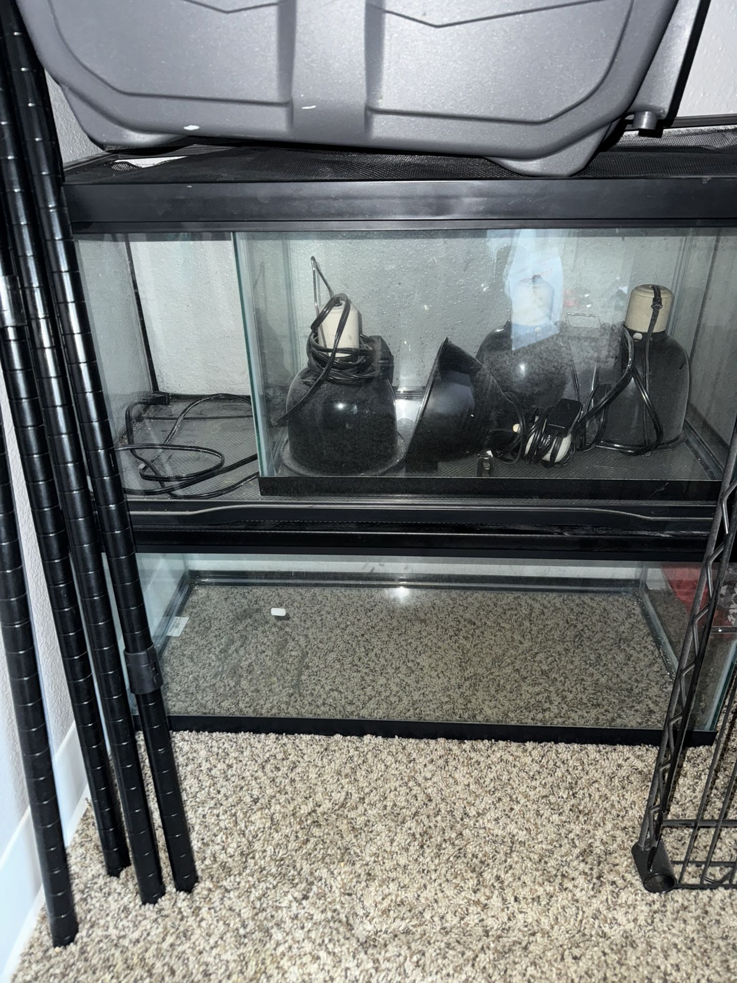 Fish/reptile Tanks