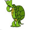 Jon Turtle 