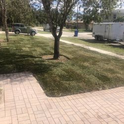 Lawn Service !! Wellington Royal Palm Lox Areas Only 