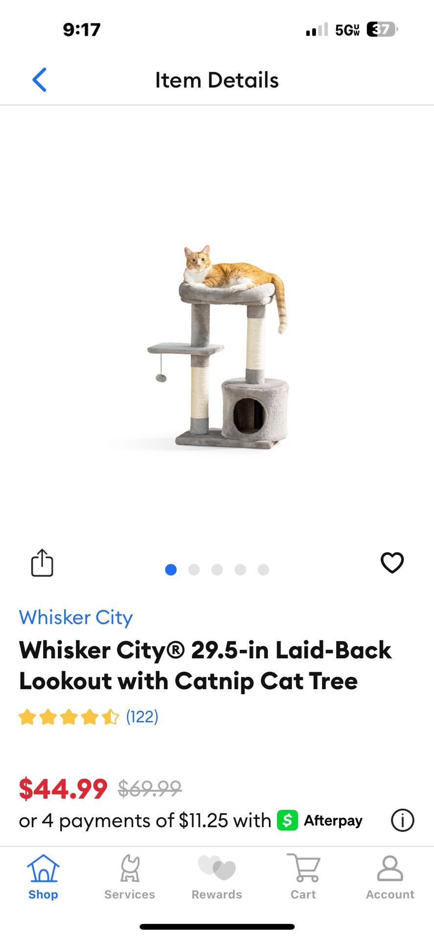 Cat Stuff