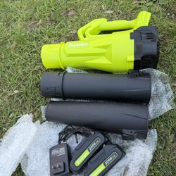 Blower With Two Batteries And Charger 
