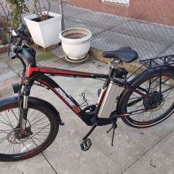 Electric Bike