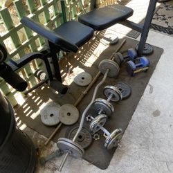 Olympic Weights 