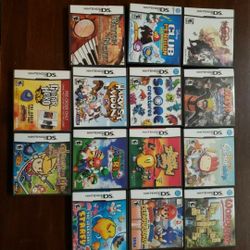 Nintendo DS Cases - No Game